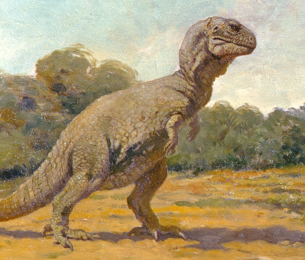 AMNH-Tyrannosaurus1-1000x853
