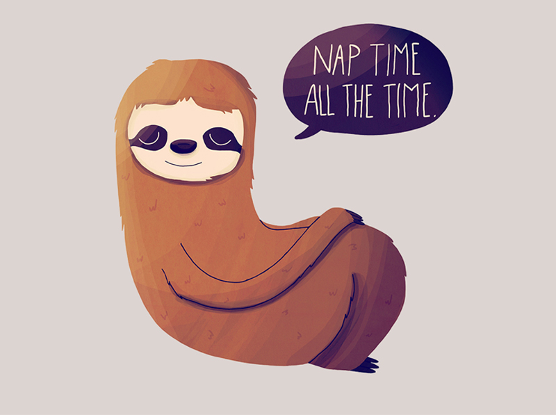 nanlawson_sloth